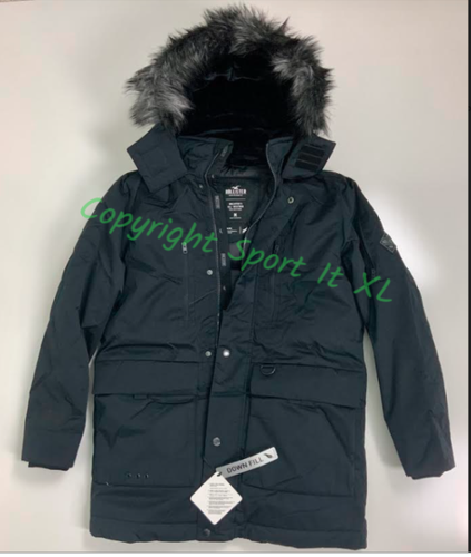 hollister mens coats