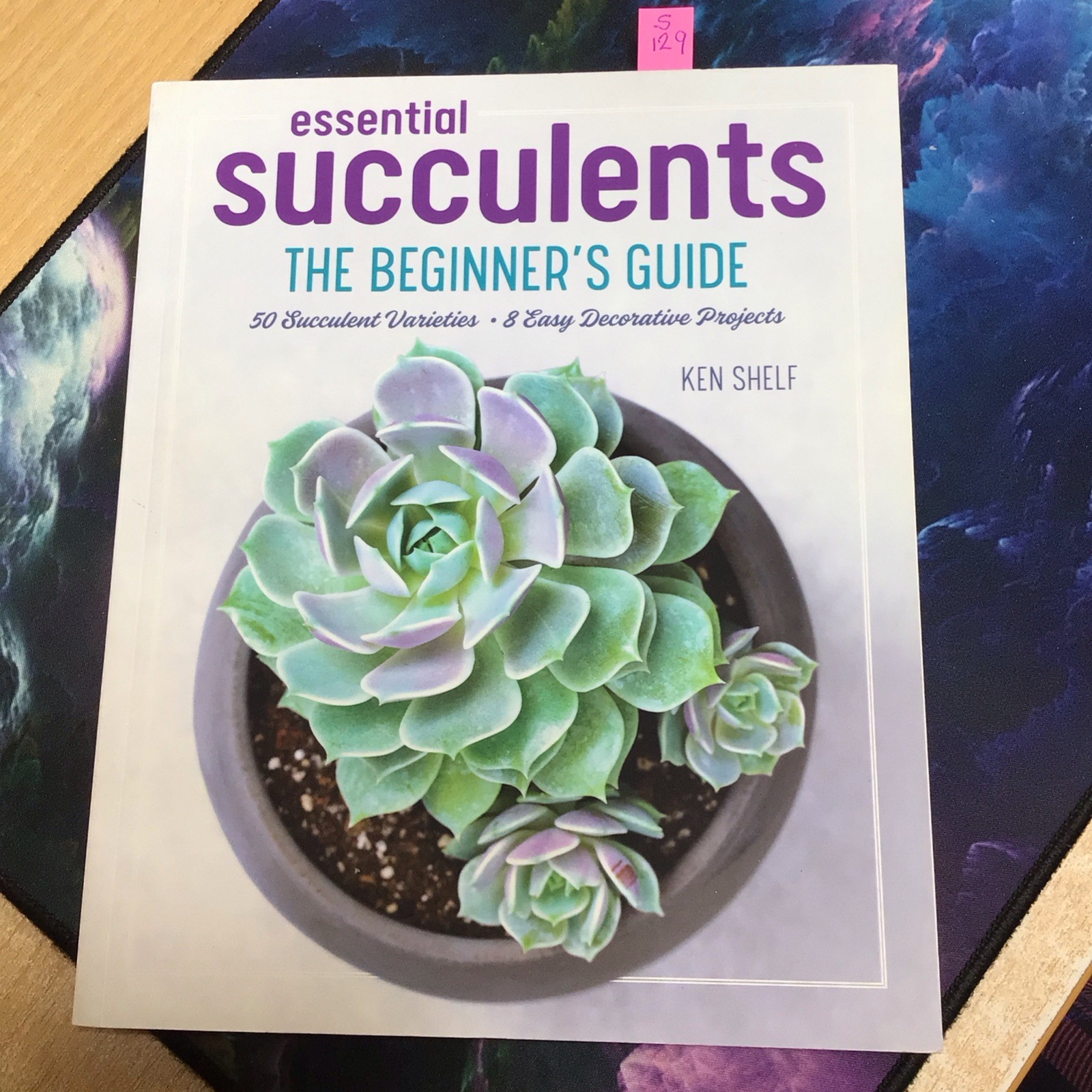 Essential Succulents: The Beginner's Guide, Shelf, Ken,
