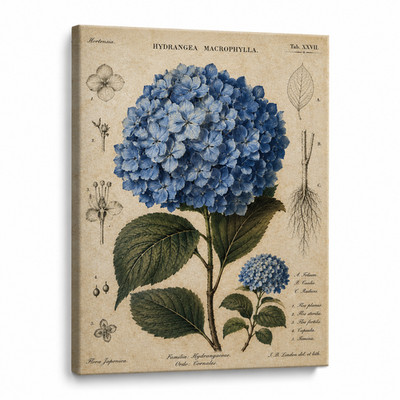 Textured Blue Hydrangea Oil Painting Canvas Wall Art Modern Floral Wall Decor