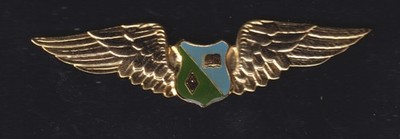 Venezuela Unidentified aviation wings Sustainment VE made 2000 full size
