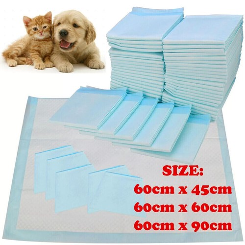 100 HEAVY DUTY LARGE PUPPY PET TRAINING WEE PEE TOILET PADS FLOOR MATS DOG PAD - Picture 25 of 35