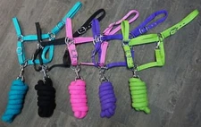 Showman Full Horse Size 2 Ply Nylon Halter with 7ft Braided Cotton Lead Rope