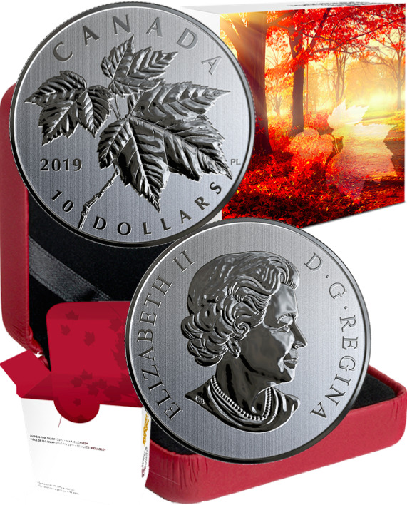 2019 Red Maple Leaf Twig $10 1/2OZ Pure Silver Coin Canada, Acer Rubrum