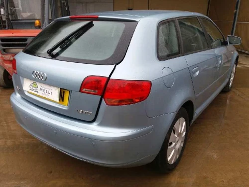 8P0857607 Asidero Techo Delantero Derecho para AUDI A3 SPORTBACK (8PA) 4020073 - Imagen 8 de 10