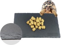 Reptile Basking Platform,11''X5.5'' Tortoise Rock Plate Feeding Food Bowl