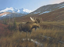 Michael Sieve Alaskan Classic - Moose Artist's Proof on Paper