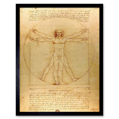 Leonardo Di Ser Piero Da Vinci Vitruve Luc Viatour altes Gemälde gerahmt Kunstdruck