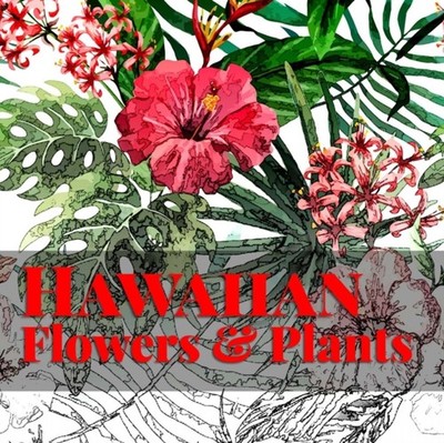 Hawaiian Flowers & Plants by Frankie Bow PAPERBACK 9781943476275