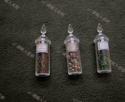 Bottles Figure INART 1/6 Scale Severus Snape Ag-A017 Accessories Collectible