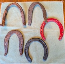 Lot Of 5 Horseshoes