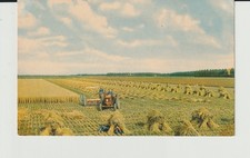 pc 1006 / NETHERLANDS, Noordoostpolder