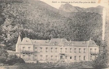 26 SAOU . Château de la Forêt 87838