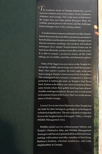 Nature of the Forest Temple-Inland’s Timberlands In The Twenty-First Century - Picture 5 of 13