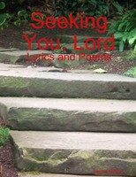 Seeking You, Lord Selena Millman Taschenbuch Kartoniert / Broschiert Englisch