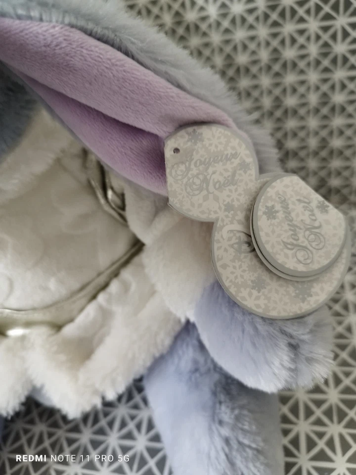 Peluche Bourriquet manteau blanc hotte avec Porcinet Disneyland  éd. limitée - Photo 3/4