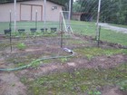 Bild 10 von 11