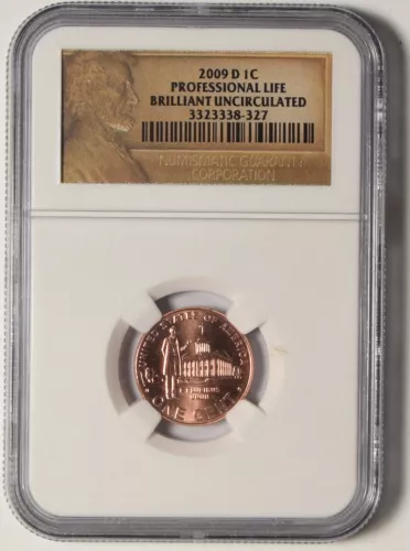 2009-D Professional Life Lincoln Cent NGC Brilliant Uncirculated #38-327