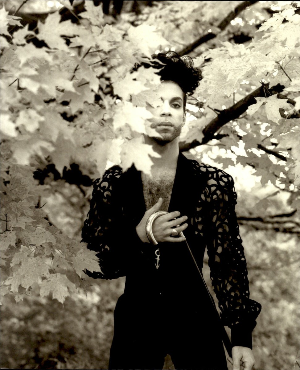 1991 Original HERB RITTS Rock Star Prince With Cane Photo