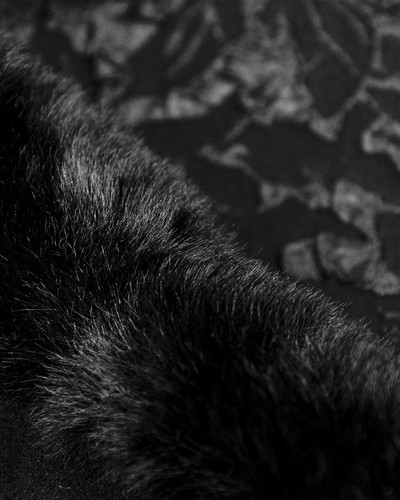 Dark In Love Womens Gothic Hooded Coat Jacket Black Steampunk Victorian Faux Fur - Picture 12 of 13