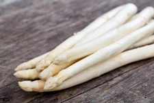 Exotic White Asparagus Seeds for Planting - 100+ Seeds - Rare Garden Vegetable S