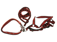 Matching Dog Collar Harness and Leash Set medium/large
