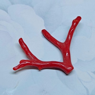 Coral Branch Polished Stick Natural Italian Red Rough Sea Gemstone For Jewellery