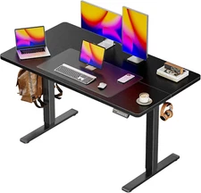 48 X 28 Large Electric Standing Desk, Height Adjustable Desk, 27.6" Deep Desktop
