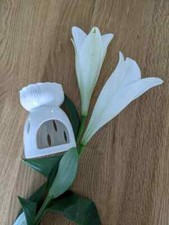 x8  Lotus oil Burner Joblot Wholesale New Bulk Buy Small buisness