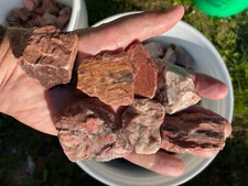 KONA DOLOMITE Tumbling Rough 2 BILLION years old Marquette Michigan Slab Cabbing