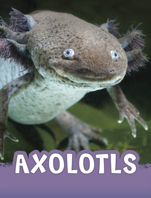 Axolotls by Jaclyn Jaycox (Hardback Book)