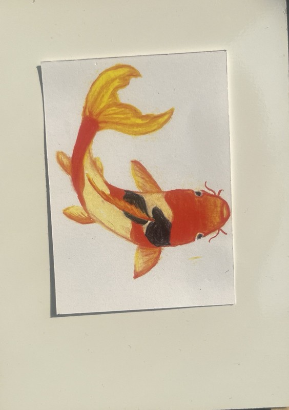 ACEO Original *Art Print* Koi Fish by Artsy Robin