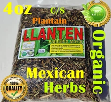 Llanten Hierba Te  4oz Plantago Mayor Plantein Premium Natural Herbal Infusion 
