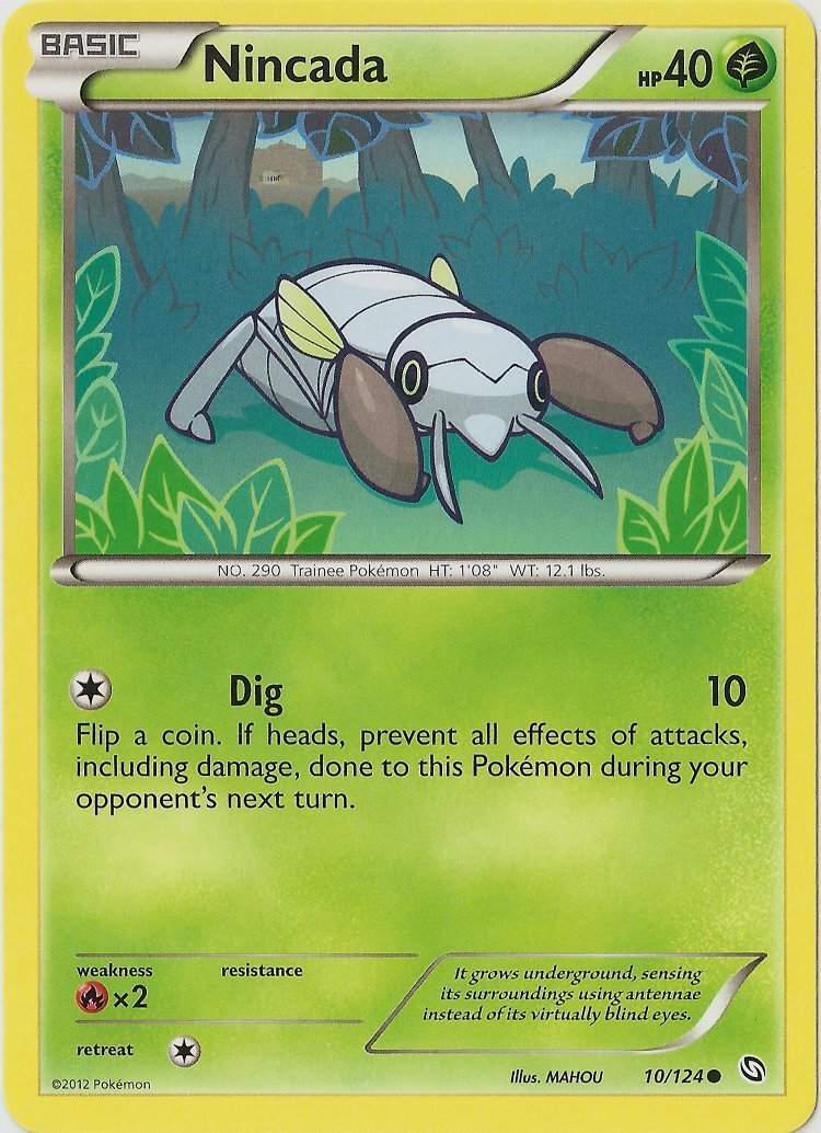 Nincada