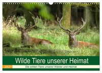 Calendar 2027 · US Version · Wild Animals Of Our Homeland (Wall Calendar 2027 17