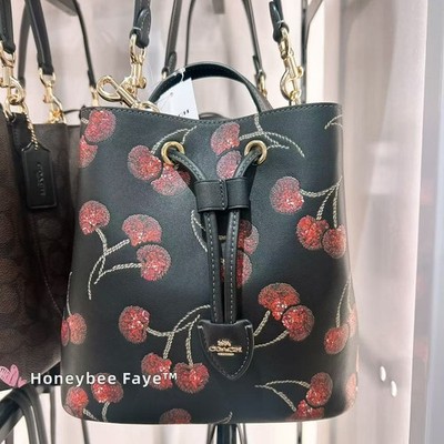 Nwt Coach Rowan Bucket Bag With Cherry Print CCZ17 🍒 | eBay