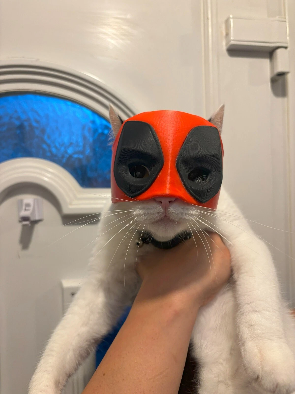 Deadpool cat mask