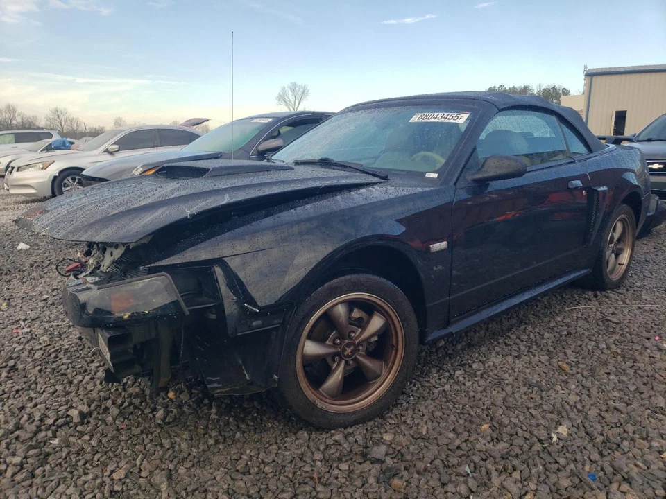 Used Deck Lid fits: 2003 Ford Mustang w/spoiler Base V6 Grade A Foto 2 de 4