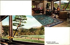 View Side Lounge Nikko-Kanaya Hotel Japan Postcard Vintage 