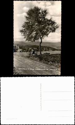 Postcard St. Märgen surrounding view, cow pasture, person on bench 1960