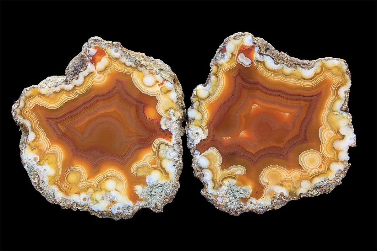 25+ Condor Agate for sale | Updated Oct 2026