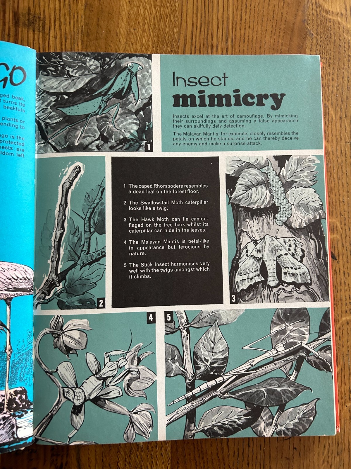 DAKTARI ANNUAL World Distributors (UK) 1969 94 Pages BBC TV Series