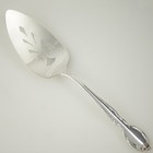 Foto 10 di 15