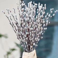 30 Stems Real Dried Pussywillow Preserved Greenery Branches for Vase- Natural Pu