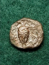 Ancient Greek or Roman, Unknown, Portrait- Reverse Bunch of Grapes,  15mm, 1.7gr