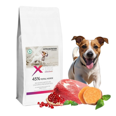 Hundefutter Trockenfutter Hund 2kg getreidefrei mit Pferd Monoprotein X-DOG