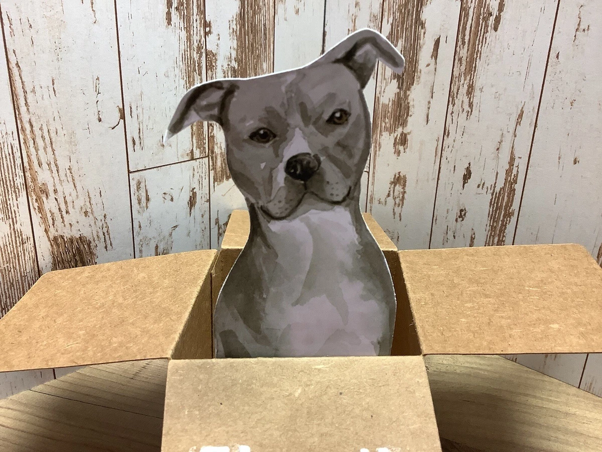 Grey Staffordshire Bull Terrier Staffy dog Pop Up Box 3D Birthday Card Handmade