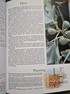 Libro 'The Fruit Expert' Di Dr. D.G. Hessayon - Guida Alla Coltivazione Della Frutta, Serie Expert