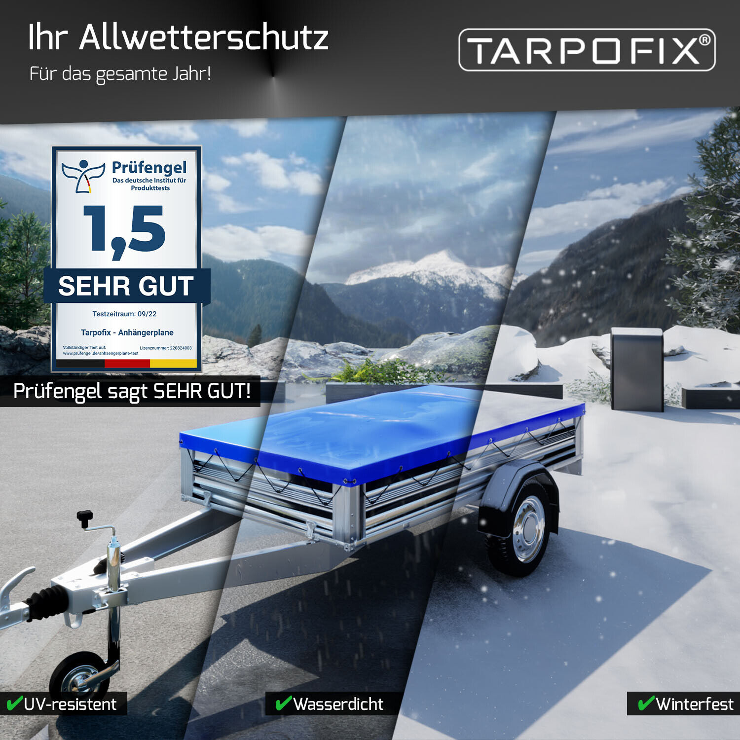 Bild 7 von 13