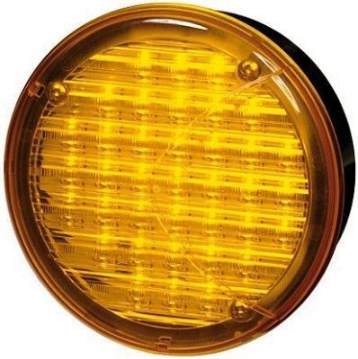 HELLA Direction Indicator Turn Signal Right Left LED 24V (2BA 964 169-317)