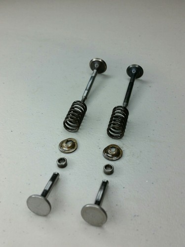 OEM Honda EM400 Generator Valves, Springs, Lifters Assembly P/N: 14711-812-020 - Picture 12 of 12